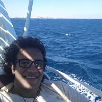 Avatar of Mohamad Afifi