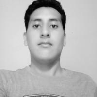 Avatar of Yuler Alex Figueroa Jimenez