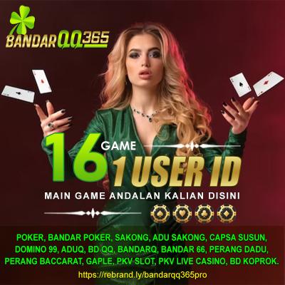 Avatar of bandarqq365