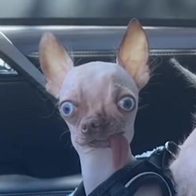 Avatar of Alex Lushpai