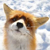 Avatar of Jérémy CROMBEZ