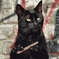 Avatar of Jorge Arco