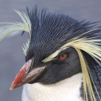 Avatar of Pavel Čermák