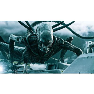 Avatar of Sébastien