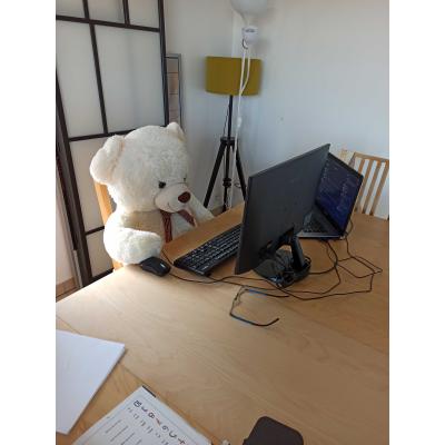 Avatar of Loïc DONNARUMMA