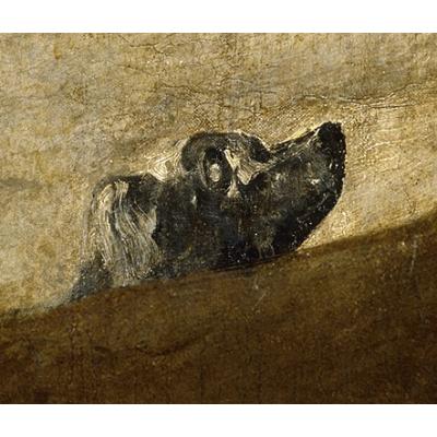 Avatar of Tiago Simões