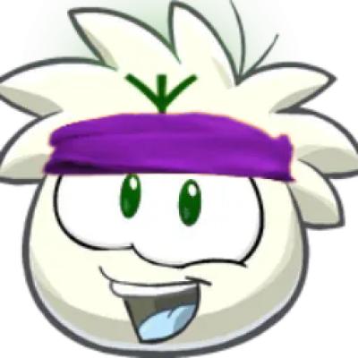 Avatar of Bruno Plante-Godin