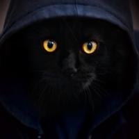 Avatar of George Younger