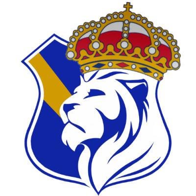 Avatar of leicestercityfc